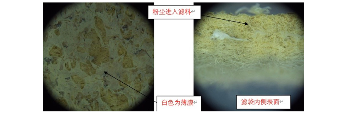 戈尔技术团队在显微镜下观察之前的滤膜表面及滤袋截面发现已有粉尘进入情况